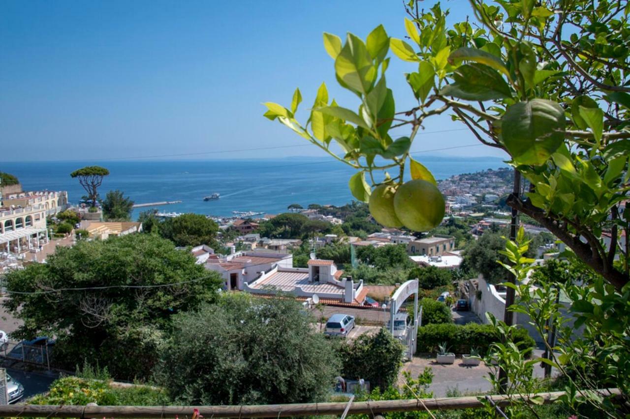 Coralba Maison d'hôtes Casamicciola Terme