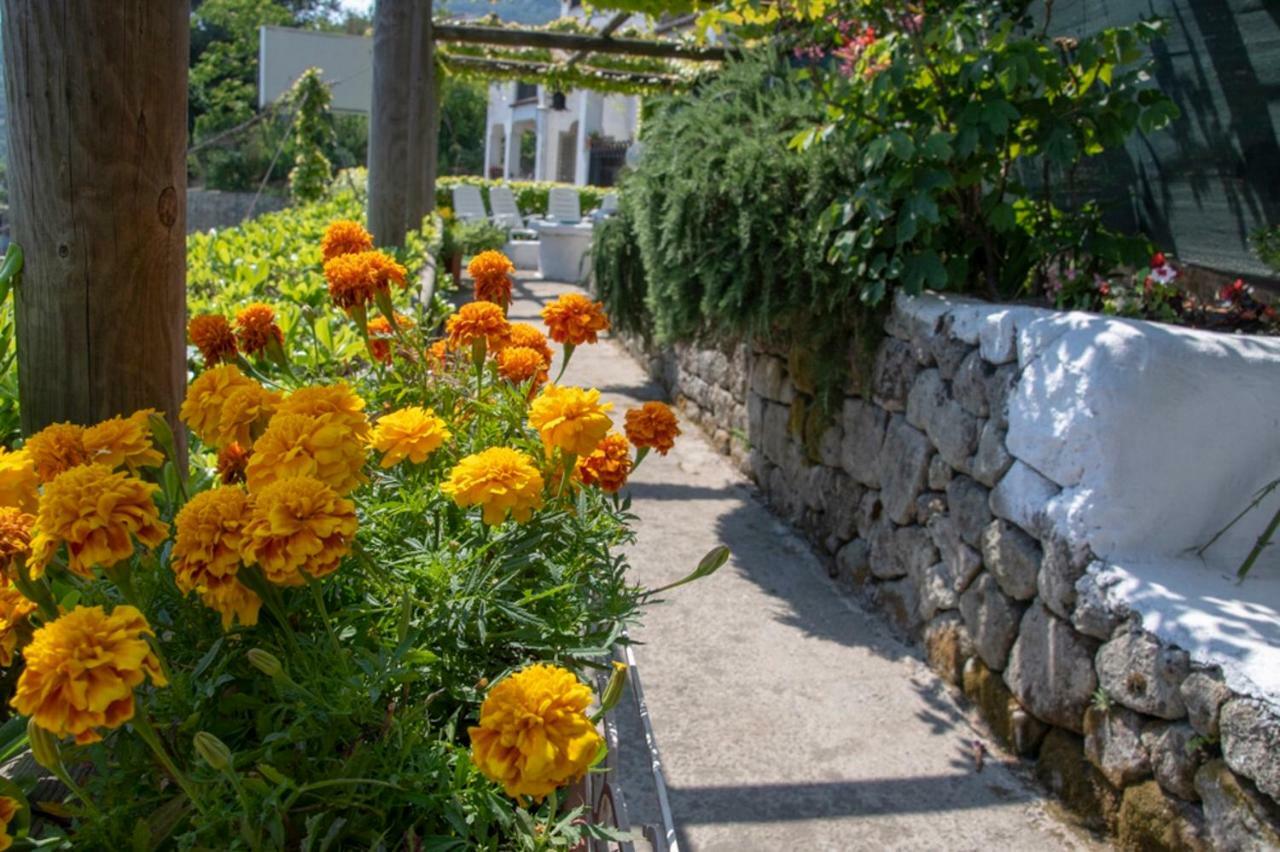 Guest house Coralba